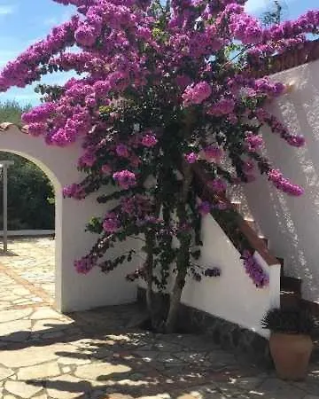 Acp09 Maison Typique De Roses Secteur Mas Busca Avec Piscine Privee Сasa de vacaciones